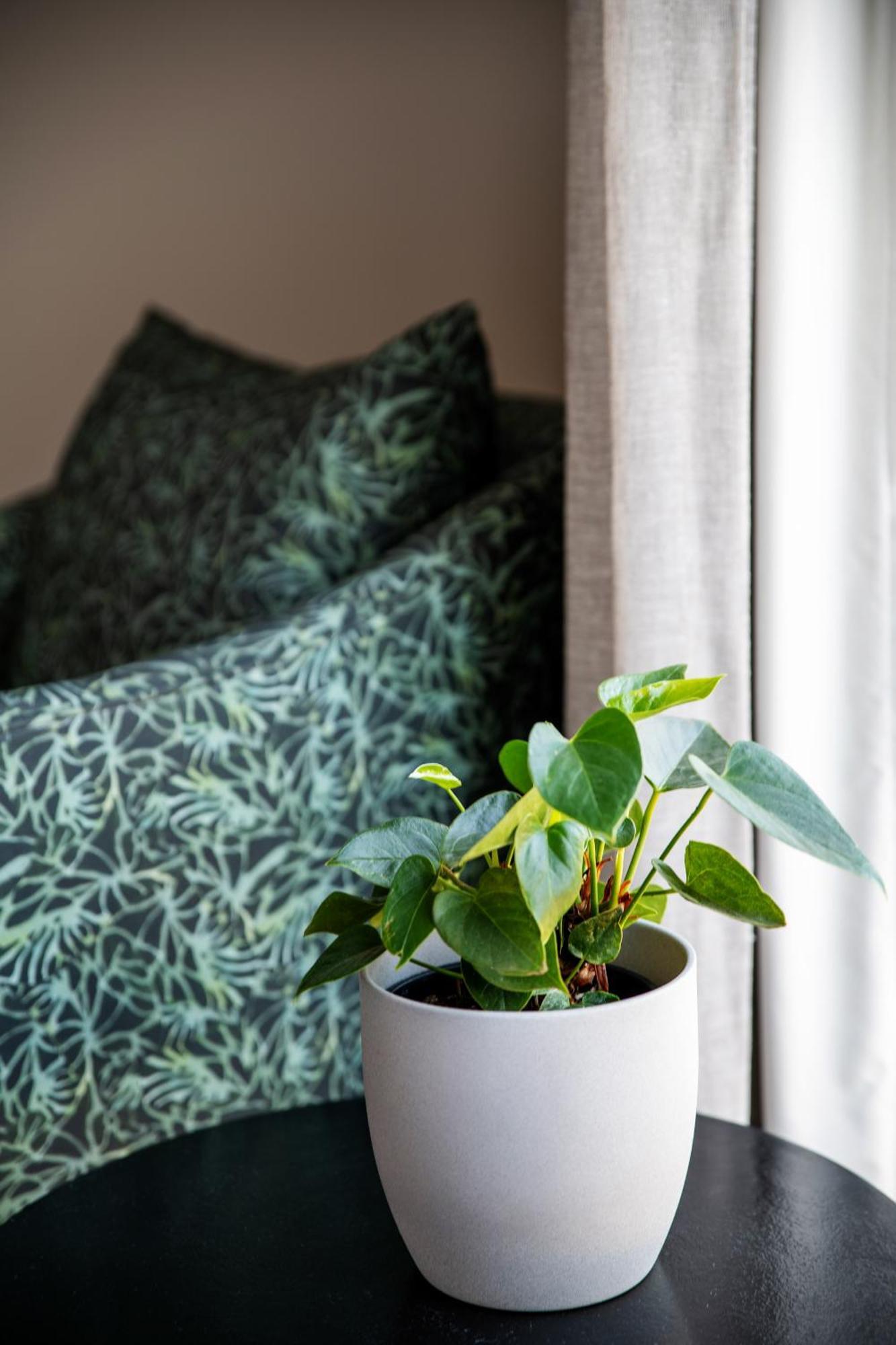 One On High Apartment Plettenberg Bay Ngoại thất bức ảnh